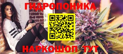 мдпв Краснознаменск