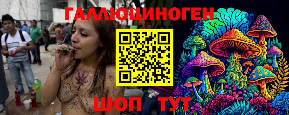 Юрга  Псилоцибиновые грибы Psilocybe  Вход с VPN 