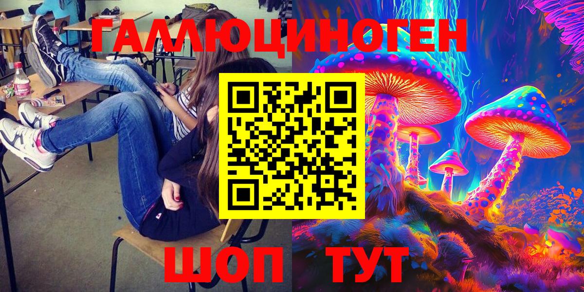 Галлюциногенные грибы Psilocybine cubensis Юрга